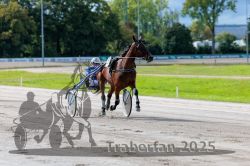 Dateiname=20250914_r05_028_R05_0039.jpg
Dateigröße=286KB
Abmessungen: 1000x667
hinzugefügt am: 15. September 2025 20250914_r05_028_R05_0039.jpg