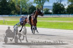 Dateiname=20250914_r05_029_R05_0041.jpg
Dateigröße=283KB
Abmessungen: 1000x667
hinzugefügt am: 15. September 2025 20250914_r05_029_R05_0041.jpg