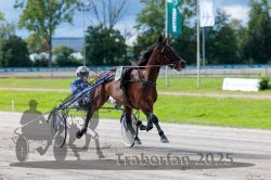 Dateiname=20250914_r05_030_R05_0044.jpg
Dateigröße=288KB
Abmessungen: 1000x667
hinzugefügt am: 15. September 2025 20250914_r05_030_R05_0044.jpg