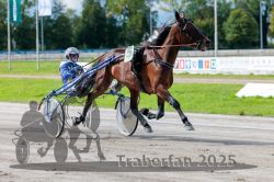 Dateiname=20250914_r05_032_R05_0047.jpg
Dateigröße=311KB
Abmessungen: 1000x667
hinzugefügt am: 15. September 2025 20250914_r05_032_R05_0047.jpg