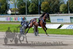 Dateiname=20250914_r05_033_R05_0048.jpg
Dateigröße=324KB
Abmessungen: 1000x667
hinzugefügt am: 15. September 2025 20250914_r05_033_R05_0048.jpg