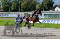 Dateiname=20250914_r05_034_R05_0049.jpg
Dateigröße=320KB
Abmessungen: 1000x667
hinzugefügt am: 15. September 2025 20250914_r05_034_R05_0049.jpg