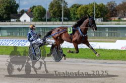 Dateiname=20250914_r05_036_R05_0052.jpg
Dateigröße=312KB
Abmessungen: 1000x667
hinzugefügt am: 15. September 2025 20250914_r05_036_R05_0052.jpg