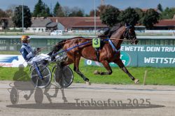 Dateiname=20250914_r05_037_R05_0055.jpg
Dateigröße=304KB
Abmessungen: 1000x667
hinzugefügt am: 15. September 2025 20250914_r05_037_R05_0055.jpg