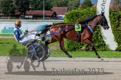 Dateiname=20250914_r05_039_R05_0058.jpg
Dateigröße=343KB
Abmessungen: 1000x667
hinzugefügt am: 15. September 2025 20250914_r05_039_R05_0058.jpg