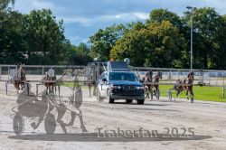 Dateiname=20250914_r05_040_R05_0061.jpg
Dateigröße=355KB
Abmessungen: 1000x667
hinzugefügt am: 15. September 2025 20250914_r05_040_R05_0061.jpg