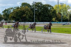 Dateiname=20250914_r05_081_R05_0115.jpg
Dateigröße=325KB
Abmessungen: 1000x667
hinzugefügt am: 15. September 2025 20250914_r05_081_R05_0115.jpg