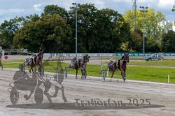 Dateiname=20250914_r05_082_R05_0116.jpg
Dateigröße=316KB
Abmessungen: 1000x667
hinzugefügt am: 15. September 2025 20250914_r05_082_R05_0116.jpg