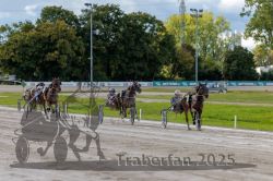 Dateiname=20250914_r05_083_R05_0118.jpg
Dateigröße=319KB
Abmessungen: 1000x667
hinzugefügt am: 15. September 2025 20250914_r05_083_R05_0118.jpg