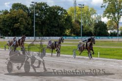 Dateiname=20250914_r05_084_R05_0119.jpg
Dateigröße=320KB
Abmessungen: 1000x667
hinzugefügt am: 15. September 2025 20250914_r05_084_R05_0119.jpg