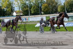 Dateiname=20250914_r05_090_R05_0126.jpg
Dateigröße=352KB
Abmessungen: 1000x667
hinzugefügt am: 15. September 2025 20250914_r05_090_R05_0126.jpg