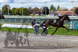 Dateiname=20250914_r05_095_R05_0131.jpg
Dateigröße=299KB
Abmessungen: 1000x667
hinzugefügt am: 15. September 2025 20250914_r05_095_R05_0131.jpg