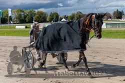 Dateiname=20250914_r05_133_CR5_0205.jpg
Dateigröße=353KB
Abmessungen: 1000x667
hinzugefügt am: 15. September 2025 20250914_r05_133_CR5_0205.jpg