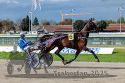 Dateiname=20250914_r06_025_R06_0034.jpg
Dateigröße=287KB
Abmessungen: 1000x667
hinzugefügt am: 16. September 2025 20250914_r06_025_R06_0034.jpg