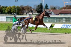 Dateiname=20250914_r06_033_R06_0044.jpg
Dateigröße=313KB
Abmessungen: 1000x667
hinzugefügt am: 16. September 2025 20250914_r06_033_R06_0044.jpg