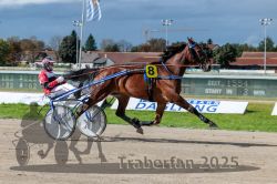 Dateiname=20250914_r06_045_R06_0059.jpg
Dateigröße=302KB
Abmessungen: 1000x667
hinzugefügt am: 16. September 2025 20250914_r06_045_R06_0059.jpg