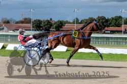 Dateiname=20250914_r06_046_R06_0060.jpg
Dateigröße=293KB
Abmessungen: 1000x667
hinzugefügt am: 16. September 2025 20250914_r06_046_R06_0060.jpg