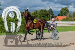 Dateiname=20250914_r06_050_R06_0065.jpg
Dateigröße=347KB
Abmessungen: 1000x667
hinzugefügt am: 16. September 2025 20250914_r06_050_R06_0065.jpg