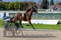 Dateiname=20250914_r06_052_R06_0068.jpg
Dateigröße=327KB
Abmessungen: 1000x667
hinzugefügt am: 16. September 2025 20250914_r06_052_R06_0068.jpg