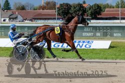 Dateiname=20250914_r06_054_R06_0071.jpg
Dateigröße=323KB
Abmessungen: 1000x667
hinzugefügt am: 16. September 2025 20250914_r06_054_R06_0071.jpg