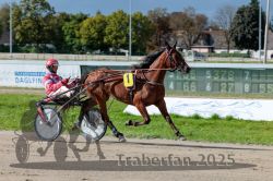 Dateiname=20250914_r06_056_R06_0074.jpg
Dateigröße=319KB
Abmessungen: 1000x667
hinzugefügt am: 16. September 2025 20250914_r06_056_R06_0074.jpg