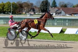 Dateiname=20250914_r06_057_R06_0075.jpg
Dateigröße=310KB
Abmessungen: 1000x667
hinzugefügt am: 16. September 2025 20250914_r06_057_R06_0075.jpg