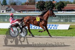 Dateiname=20250914_r06_058_R06_0077.jpg
Dateigröße=319KB
Abmessungen: 1000x667
hinzugefügt am: 16. September 2025 20250914_r06_058_R06_0077.jpg