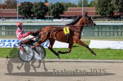 Dateiname=20250914_r06_059_R06_0078.jpg
Dateigröße=319KB
Abmessungen: 1000x667
hinzugefügt am: 16. September 2025 20250914_r06_059_R06_0078.jpg