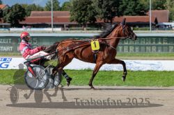 Dateiname=20250914_r06_060_R06_0079.jpg
Dateigröße=314KB
Abmessungen: 1000x667
hinzugefügt am: 16. September 2025 20250914_r06_060_R06_0079.jpg