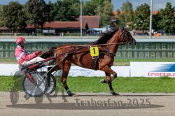 Dateiname=20250914_r06_061_R06_0080.jpg
Dateigröße=320KB
Abmessungen: 1000x667
hinzugefügt am: 16. September 2025 20250914_r06_061_R06_0080.jpg