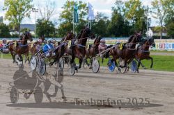 Dateiname=20250914_r06_069_R06_0091.jpg
Dateigröße=337KB
Abmessungen: 1000x667
hinzugefügt am: 16. September 2025 20250914_r06_069_R06_0091.jpg