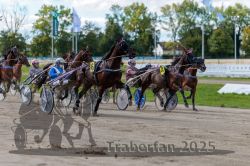 Dateiname=20250914_r06_070_R06_0092.jpg
Dateigröße=328KB
Abmessungen: 1000x667
hinzugefügt am: 16. September 2025 20250914_r06_070_R06_0092.jpg