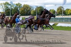 Dateiname=20250914_r06_072_R06_0095.jpg
Dateigröße=302KB
Abmessungen: 1000x667
hinzugefügt am: 16. September 2025 20250914_r06_072_R06_0095.jpg