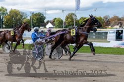 Dateiname=20250914_r06_073_R06_0096.jpg
Dateigröße=299KB
Abmessungen: 1000x667
hinzugefügt am: 16. September 2025 20250914_r06_073_R06_0096.jpg