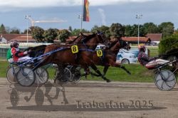 Dateiname=20250914_r06_076_R06_0101.jpg
Dateigröße=293KB
Abmessungen: 1000x667
hinzugefügt am: 16. September 2025 20250914_r06_076_R06_0101.jpg