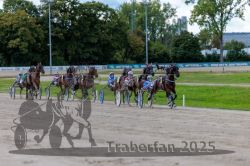 Dateiname=20250914_r06_080_R06_0106.jpg
Dateigröße=318KB
Abmessungen: 1000x667
hinzugefügt am: 16. September 2025 20250914_r06_080_R06_0106.jpg