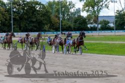 Dateiname=20250914_r06_081_R06_0107.jpg
Dateigröße=320KB
Abmessungen: 1000x667
hinzugefügt am: 16. September 2025 20250914_r06_081_R06_0107.jpg