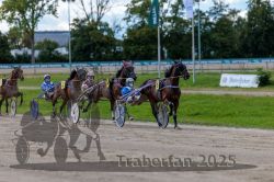 Dateiname=20250914_r06_083_R06_0110.jpg
Dateigröße=312KB
Abmessungen: 1000x667
hinzugefügt am: 16. September 2025 20250914_r06_083_R06_0110.jpg