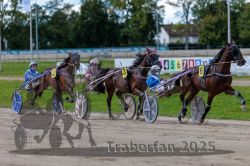 Dateiname=20250914_r06_087_R06_0115.jpg
Dateigröße=314KB
Abmessungen: 1000x667
hinzugefügt am: 16. September 2025 20250914_r06_087_R06_0115.jpg