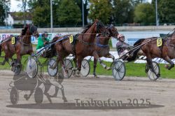 Dateiname=20250914_r06_093_R06_0122.jpg
Dateigröße=311KB
Abmessungen: 1000x667
hinzugefügt am: 16. September 2025 20250914_r06_093_R06_0122.jpg