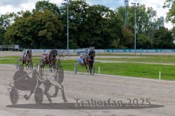 Dateiname=20250914_r06_100_R06_0132.jpg
Dateigröße=303KB
Abmessungen: 1000x667
hinzugefügt am: 16. September 2025 20250914_r06_100_R06_0132.jpg