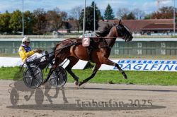 Dateiname=20250914_r07_023_R07_0028.jpg
Dateigröße=318KB
Abmessungen: 1000x667
hinzugefügt am: 16. September 2025 20250914_r07_023_R07_0028.jpg