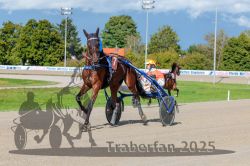 Dateiname=20250914_r07_026_R07_0033.jpg
Dateigröße=344KB
Abmessungen: 1000x667
hinzugefügt am: 16. September 2025 20250914_r07_026_R07_0033.jpg