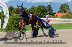 Dateiname=20250914_r07_028_R07_0036.jpg
Dateigröße=330KB
Abmessungen: 1000x667
hinzugefügt am: 16. September 2025 20250914_r07_028_R07_0036.jpg