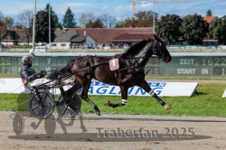 Dateiname=20250914_r07_029_R07_0037.jpg
Dateigröße=304KB
Abmessungen: 1000x667
hinzugefügt am: 16. September 2025 20250914_r07_029_R07_0037.jpg