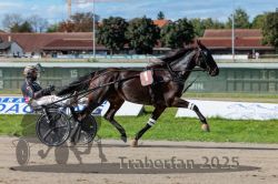 Dateiname=20250914_r07_030_R07_0038.jpg
Dateigröße=308KB
Abmessungen: 1000x667
hinzugefügt am: 16. September 2025 20250914_r07_030_R07_0038.jpg