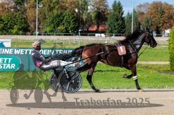 Dateiname=20250914_r07_034_R07_0044.jpg
Dateigröße=353KB
Abmessungen: 1000x667
hinzugefügt am: 16. September 2025 20250914_r07_034_R07_0044.jpg