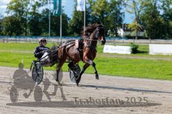 Dateiname=20250914_r07_037_R07_0047.jpg
Dateigröße=331KB
Abmessungen: 1000x667
hinzugefügt am: 16. September 2025 20250914_r07_037_R07_0047.jpg