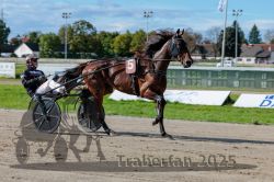 Dateiname=20250914_r07_040_R07_0052.jpg
Dateigröße=304KB
Abmessungen: 1000x667
hinzugefügt am: 16. September 2025 20250914_r07_040_R07_0052.jpg