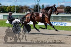 Dateiname=20250914_r07_041_R07_0053.jpg
Dateigröße=323KB
Abmessungen: 1000x667
hinzugefügt am: 16. September 2025 20250914_r07_041_R07_0053.jpg